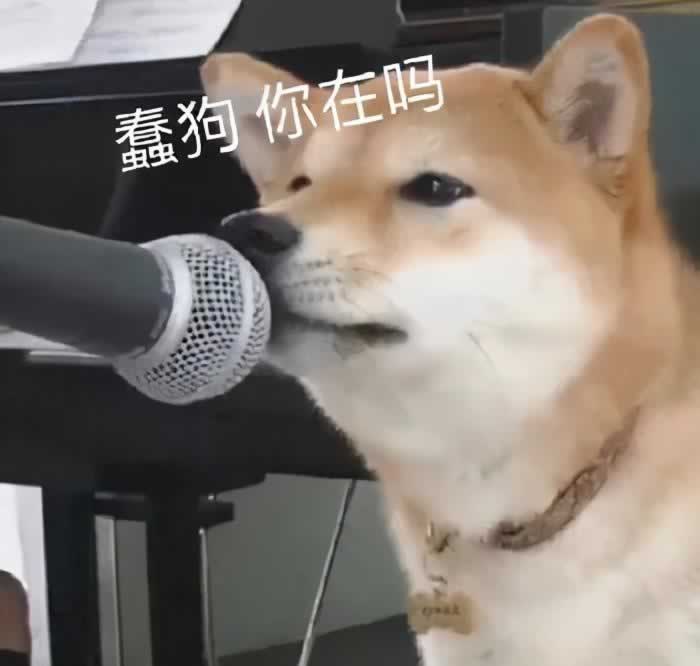 跟女孩子聊天开头大全 专治她“没看到信息”的臭毛病_情感