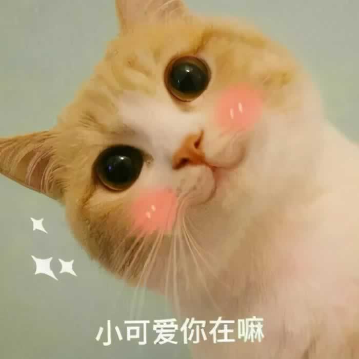跟女孩子聊天开头大全 专治她“没看到信息”的臭毛病_情感