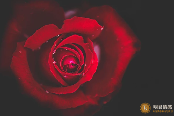 怎样挽留婚姻-离婚后复合的最佳时期