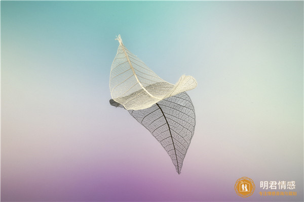 挽回婚姻最聪明的方法：离开三个月