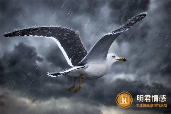 失恋怎么办-走出失恋的困扰需要技巧 失恋怎么办-走出失恋的困扰需要技巧