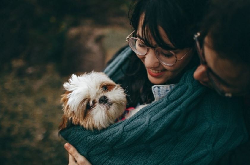 分手后女友当我是仇人怎么挽回