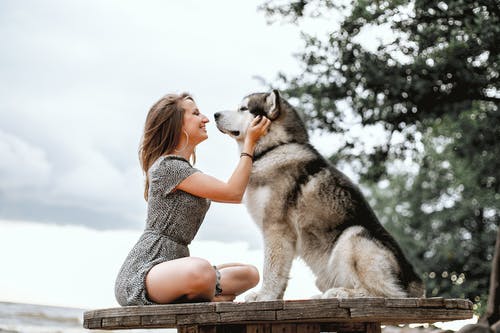 一封信挽回老婆哭了