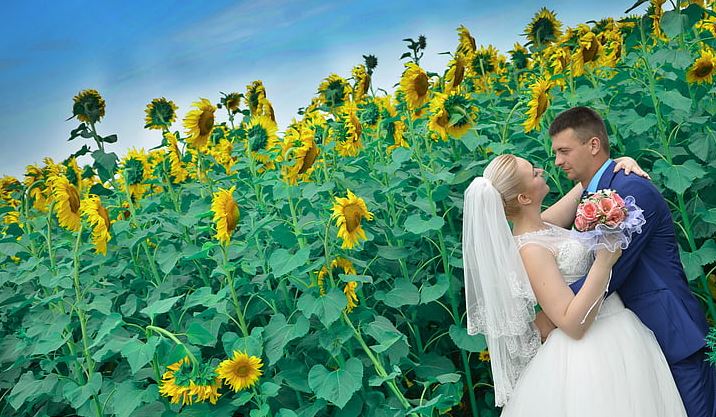 什么惊喜最能感动男生？女生让男生瞬间感动的细节