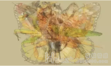 人格测试|你第一眼看到什么，就是怎样的人