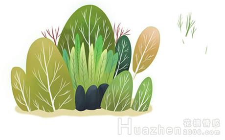 情感团队可靠吗?全额退款能行吗？