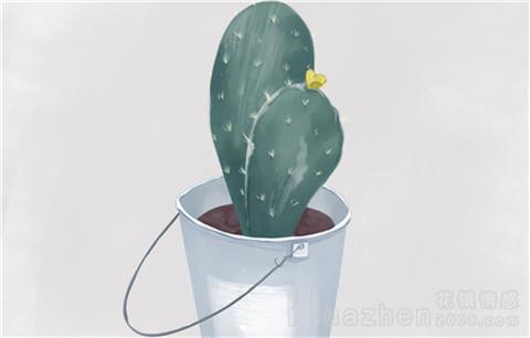 如何挽救婚姻?不要把你的思想强加到对方身上