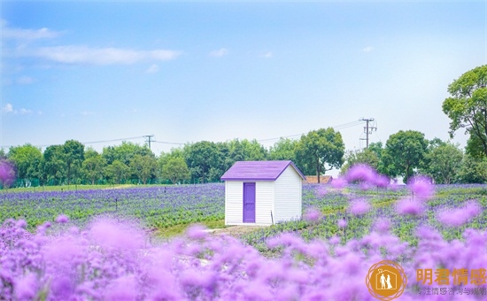 的表现:7大典型特征 的表现:7大典型特征