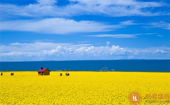巨蟹座男生的性格:节俭踏实 巨蟹座男生的性格:节俭踏实