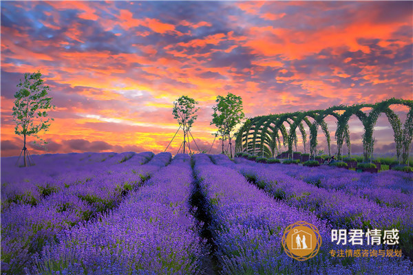 塔罗牌测试爱情:你和他会有一个美好的结局吗?