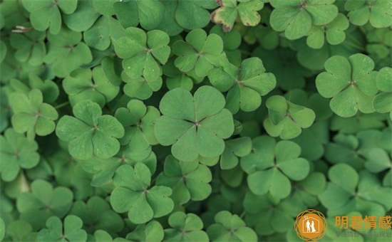 精选挽留爱情的短句,挽留感情的话