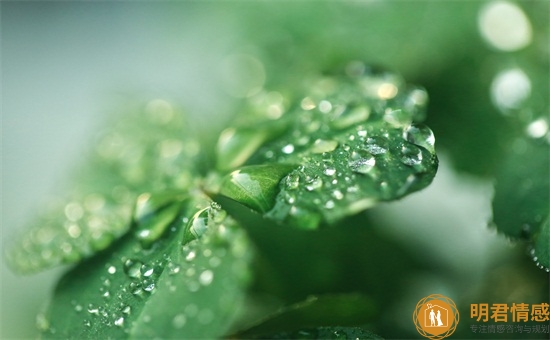 挽回女友的感动情话,挽回一段感情的话 挽回女友的感动情话,挽回一段感情的话