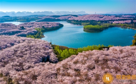 两地分居老公出轨有哪些表现,这五个表现不能忽视 两地分居老公出轨有哪些表现,这五个表现不能忽视