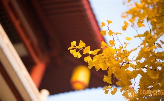 追女生怎么聊天,聊什么呢 追女生怎么聊天,聊什么呢