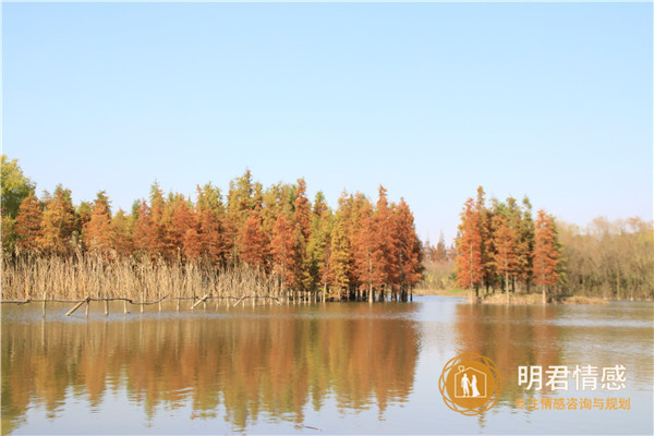 老公出轨怎么办?这才是聪明妻子的做法,三个妙招 老公出轨怎么办?这才是聪明妻子的做法,三个妙招