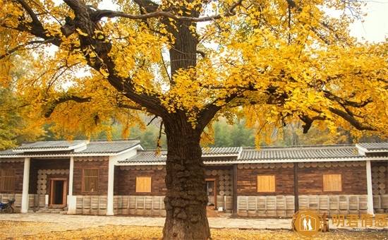 大学生失恋后应该如何正确应对