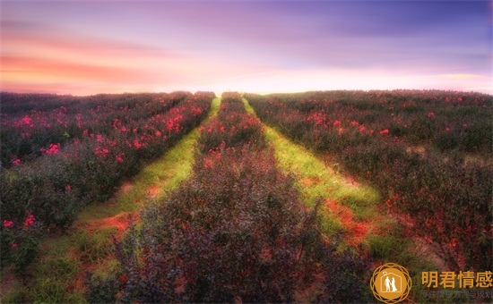 情感大师在线咨询免费老师分享,这10个句子值得一看 情感大师在线咨询免费老师分享,这10个句子值得一看