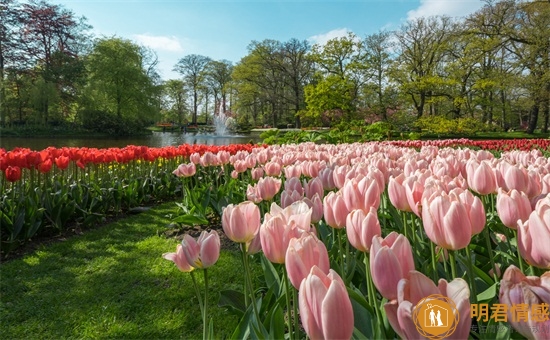 消费观不同怎么谈恋爱?说到底还是门不当户不对 消费观不同怎么谈恋爱?说到底还是门不当户不对