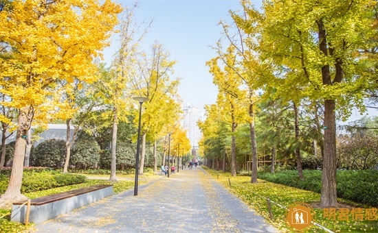 怎么重新追回绝望的女朋友?做到这三点就能挽救爱情 怎么重新追回绝望的女朋友?做到这三点就能挽救爱情