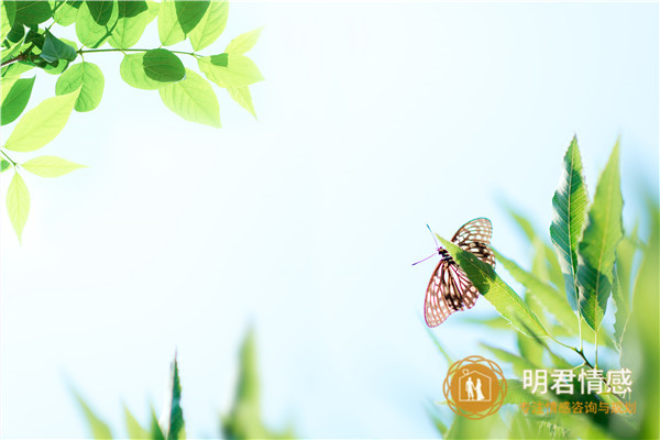 中秋节什么时候,中秋节的发展过程是怎样的 中秋节什么时候,中秋节的发展过程是怎样的