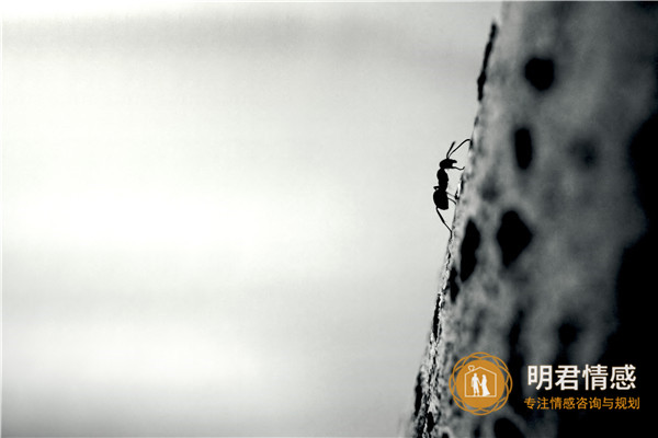 如何挽回失去的感情?这些方法很多人都成功了! 如何挽回失去的感情?这些方法很多人都成功了!