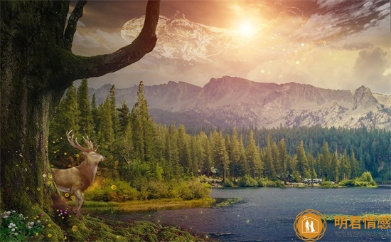 水瓶座男生最配星座,这三个星座最般配