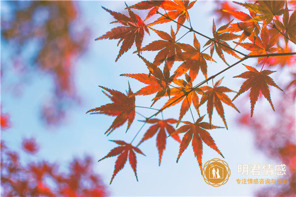 生活节奏慢下来的美句,享受慢生活的唯美句子 生活节奏慢下来的美句,享受慢生活的唯美句子