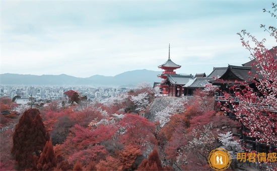 怎样才能挽回一段爱情?用这3个技巧能成功挽回 怎样才能挽回一段爱情?用这3个技巧能成功挽回