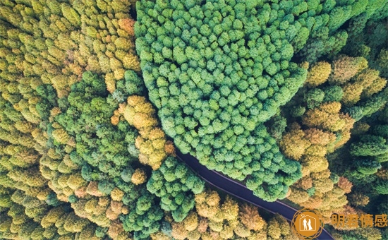 婚姻幸福的女人,一般会有这三个特点 婚姻幸福的女人,一般会有这三个特点