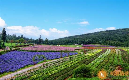 自书遗嘱的有效范文,一份完整的写法 自书遗嘱的有效范文,一份完整的写法