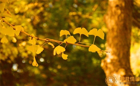 分手后怎么挽回她的心,分手后如何复合 分手后怎么挽回她的心,分手后如何复合