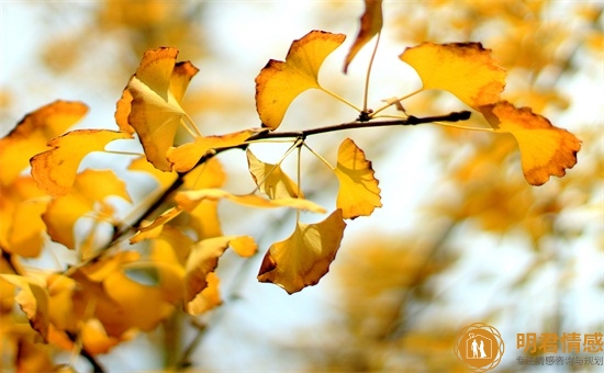 分手后怎么挽回她的心,分手后如何复合 分手后怎么挽回她的心,分手后如何复合