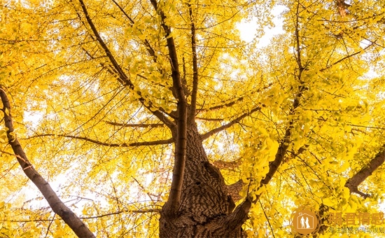 老公快出轨的前兆 老公快出轨的前兆