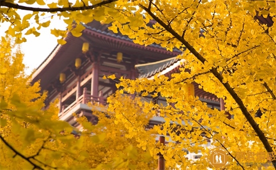 聊天幽默的技巧 聊天幽默的技巧