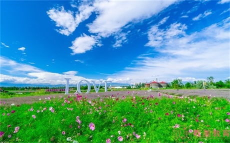 备胎什么意思,变成备胎应该怎么办 备胎什么意思,变成备胎应该怎么办