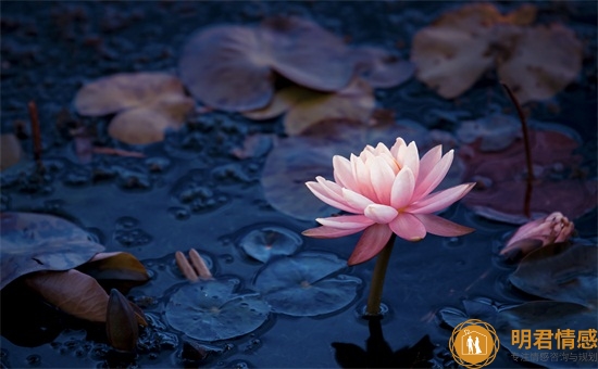 音乐风格分类有几种,这些你都了解吗 音乐风格分类有几种,这些你都了解吗