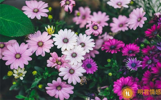 六一搞笑短信,儿童节快乐祝福语 六一搞笑短信,儿童节快乐祝福语