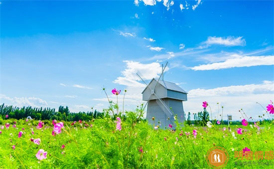 给老师的贺卡怎么写祝福语