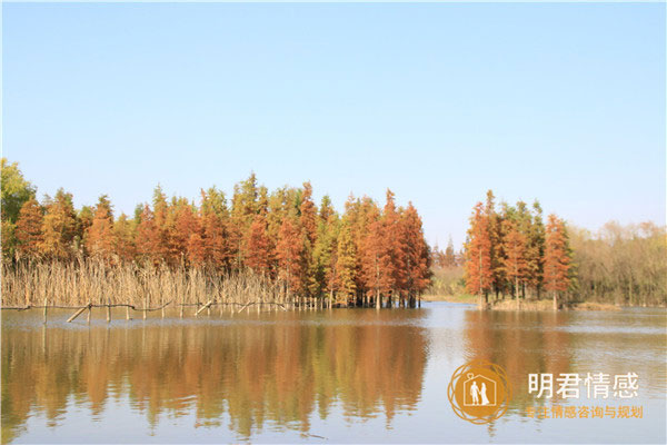 自谈和相亲的最大区别,怎么让相亲的感情跟自谈一样甜蜜 自谈和相亲的最大区别,怎么让相亲的感情跟自谈一样甜蜜