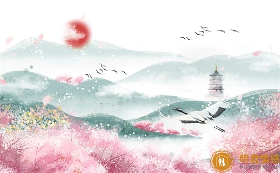 婆媳关系的电视剧推荐-哪个好看