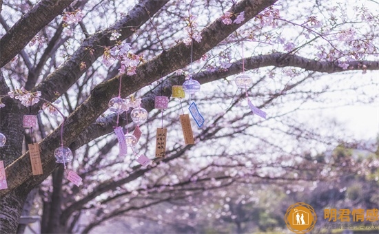 心理学入门必读书 心理学入门必读书