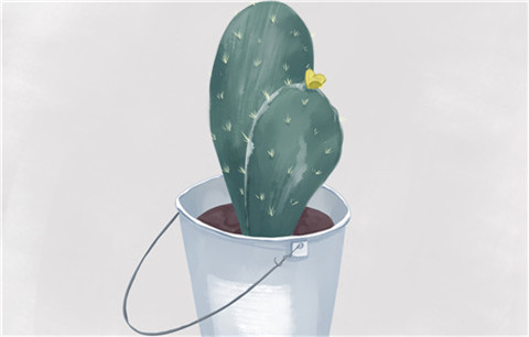 婚姻经营的技巧和方法是什么