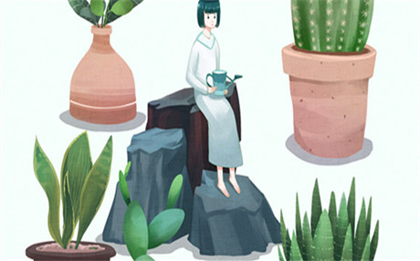 有关抚养权的相关规定是啥