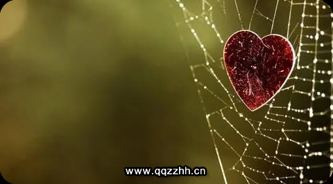 如果你觉得累了,请读读这7个正能量小句子,句句精辟暖心