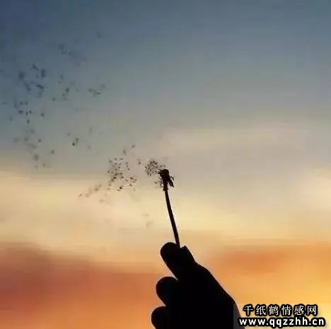 世界这么大,有人对你好,是你的骄傲