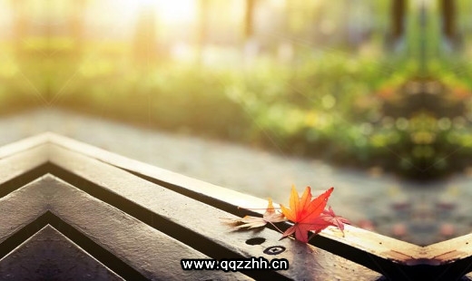 又然又经典的语录
