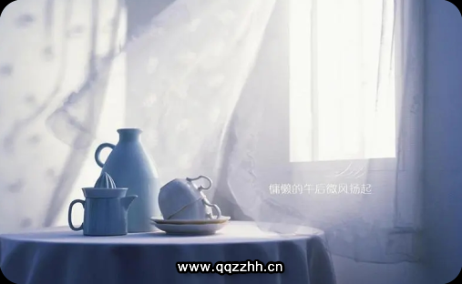 对不起,你已经40岁了