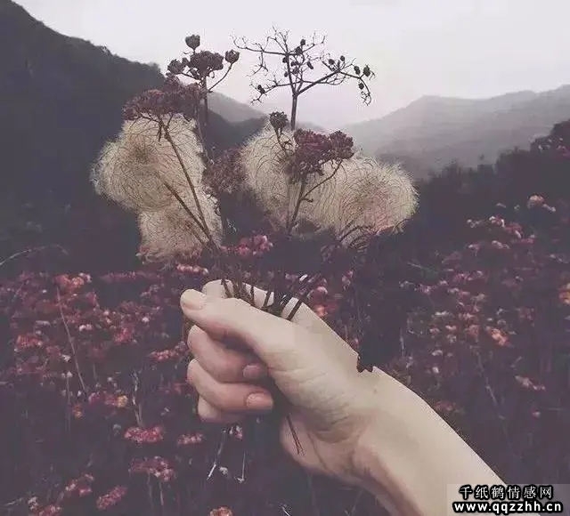 世界这么大,有人对你好,是你的骄傲