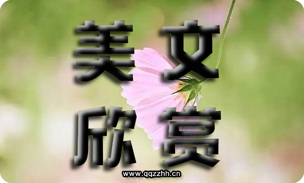 伤感美文合集