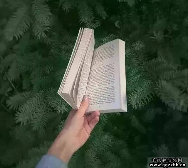 世界这么大,有人对你好,是你的骄傲